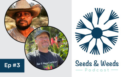 This or That with Jon Jackson + Ask a Gardener with Enoch Graham