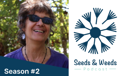 Staple Crops & Local Food Systems w/ Michelle Ajamian, Shagbark Mill
