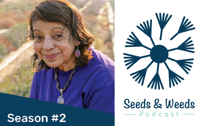 From Seed to Skincare w/ Zehra Murthy, Belfiore Herbal