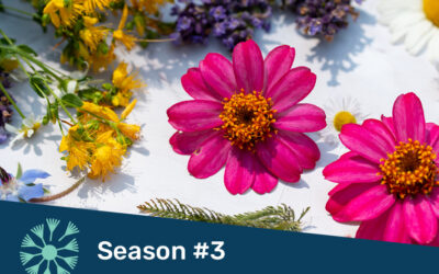 The Joys and Benefits of Summer Flowers