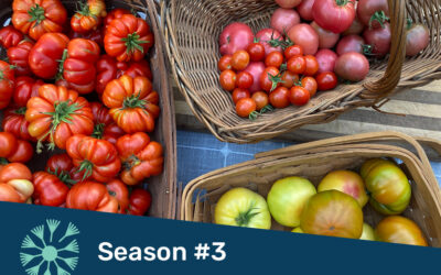 Totally Tomatoes: How to Grow, Cook, and Save the Ultimate Summer Crop
