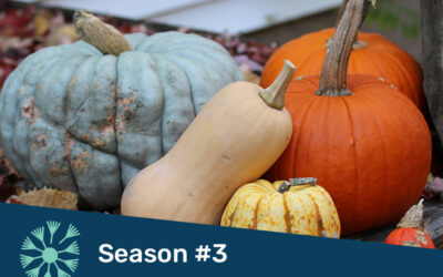 The Squash Episode – in the Garden, Kitchen and Apothecary with our Favorite Fall Fruit!