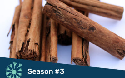 Herbs for Winter Wellness