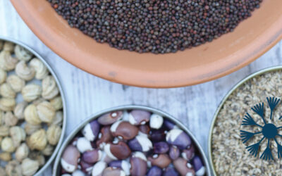 Direct Sow Your Garden