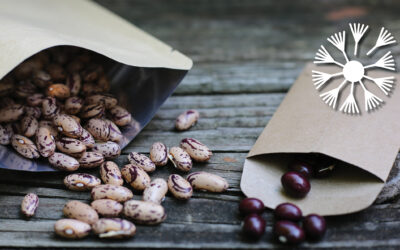 It’s Seed Saving Season!